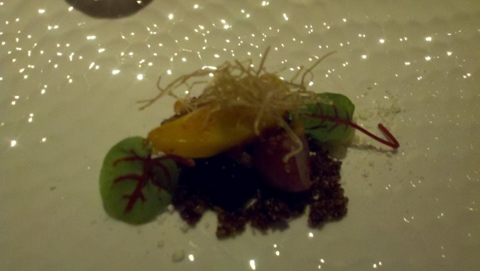 2012-02-10_20-56-55_570