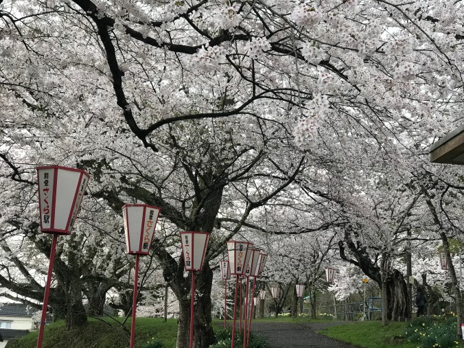 WNRFqZV5Rj+4pLwCNL63rA