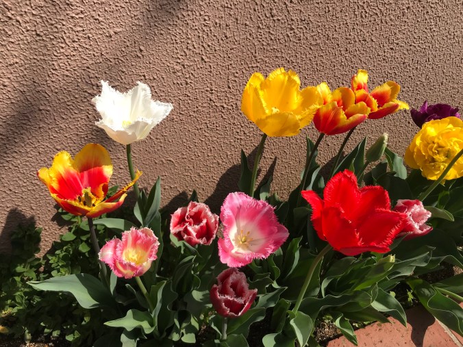 xIc5AKG4SsCVSMHcImyGCw